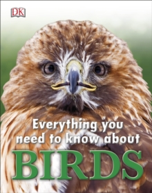 Everything You Need to Know About Birds, Hardback Book Everything You Need to Know About Birds, Hardback Book