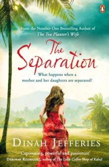 The Separation, Paperback Book The Separation, Paperback Book