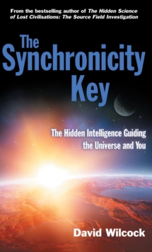 The Synchronicity Key : The Hidden Intelligence Guiding the Universe and You, Paperback The Synchronicity Key : The Hidden Intelligence Guiding the Universe and You, Paperback