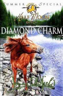 Summer Special: Diamond Charm, Paperback Book Summer Special: Diamond Charm, Paperback Book