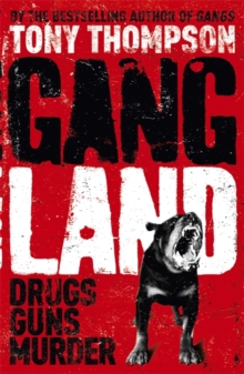 Gang Land : From Footsoldiers to Kingpins, the Search for Mr. Big, Paperback Book Gang Land : From Footsoldiers to Kingpins, the Search for Mr. Big, Paperback Book