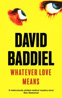 Whatever Love Means, Paperback Book Whatever Love Means, Paperback Book