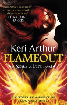 Flameout, Paperback Flameout, Paperback