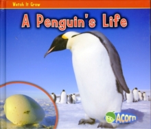 A Penguins Life, Hardback Book A Penguins Life, Hardback Book