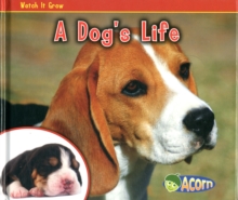 A Dogs Life, Hardback A Dogs Life, Hardback