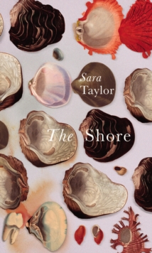 The Shore, Hardback Book The Shore, Hardback Book