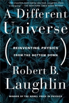 A Different Universe : Reinventing Physics from the Bottom Down, Paperback Book A Different Universe : Reinventing Physics from the Bottom Down, Paperback Book