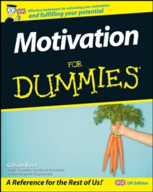 Motivation For Dummies, Paperback Book Motivation For Dummies, Paperback Book