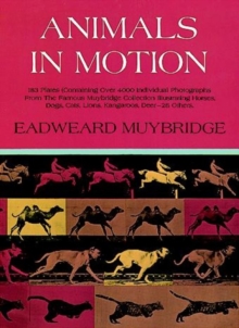 Animals in Motion, Paperback Animals in Motion, Paperback
