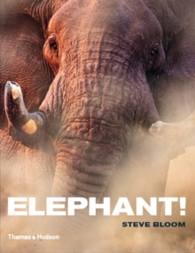 Elephant!, Hardback Elephant!, Hardback