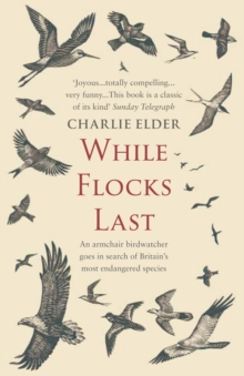 While Flocks Last, Paperback Book While Flocks Last, Paperback Book