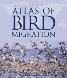 Natural History Museum Atlas of Bird Migration : Tracing the Great Journeys of the World's Birds, Hardback Natural History Museum Atlas of Bird Migration : Tracing the Great Journeys of the World's Birds, Hardback
