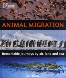 Animal Migration : Remarkable Journeys by Air, Land and Sea, Hardback Animal Migration : Remarkable Journeys by Air, Land and Sea, Hardback