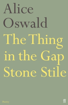 The Thing in the Gap Stone Stile, Paperback Book The Thing in the Gap Stone Stile, Paperback Book