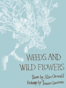 Weeds and Wild Flowers, Hardback Book Weeds and Wild Flowers, Hardback Book
