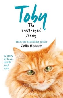 Toby the Cross-Eyed Stray, Paperback Toby the Cross-Eyed Stray, Paperback