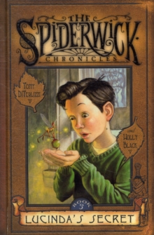 Lucinda's Secret, Hardback Book Lucinda's Secret, Hardback Book