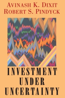 Investment Under Uncertainty, Hardback Investment Under Uncertainty, Hardback