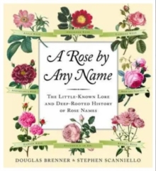 A Rose by Any Name, Hardback Book A Rose by Any Name, Hardback Book
