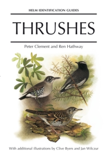 Thrushes, Hardback Book Thrushes, Hardback Book