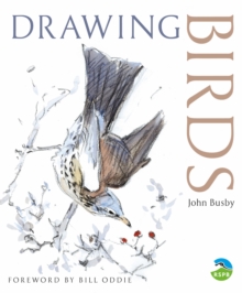 Drawing Birds, Paperback Book Drawing Birds, Paperback Book