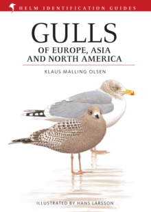 Gulls of Europe, Asia and North America, Hardback Book Gulls of Europe, Asia and North America, Hardback Book