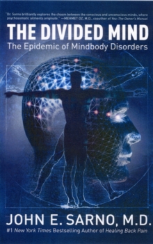 The Divided Mind : The Epidemic of Mindbody Disorders, Paperback Book The Divided Mind : The Epidemic of Mindbody Disorders, Paperback Book