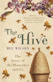 The Hive : The Story of the Honeybee and Us, Paperback The Hive : The Story of the Honeybee and Us, Paperback