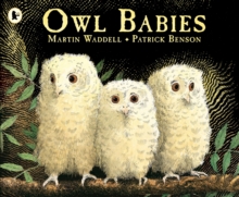 Owl Babies, Paperback Book Owl Babies, Paperback Book