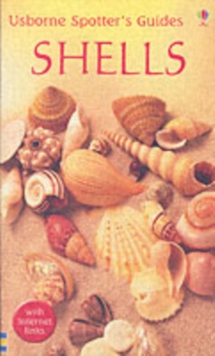Shells, Paperback Book Shells, Paperback Book