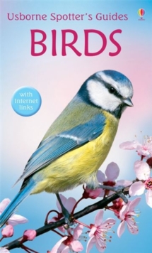 Birds, Paperback Book Birds, Paperback Book