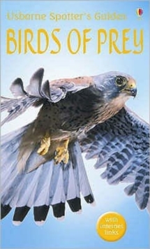 Birds Of Prey, Paperback Book Birds Of Prey, Paperback Book