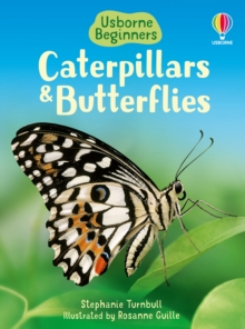 Caterpillars and Butterflies, Hardback Book Caterpillars and Butterflies, Hardback Book