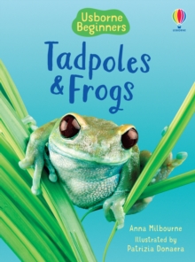 Tadpoles and Frogs, Hardback Book Tadpoles and Frogs, Hardback Book