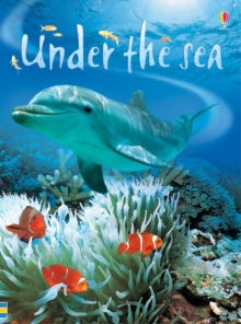 Under the Sea, Hardback Book Under the Sea, Hardback Book