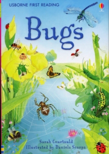 Bugs, Hardback Book Bugs, Hardback Book