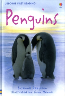 Penguins, Hardback Book Penguins, Hardback Book