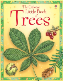 Little Book of Trees, Hardback Book Little Book of Trees, Hardback Book