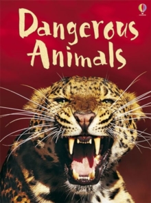 Dangerous Animals, Hardback Book Dangerous Animals, Hardback Book