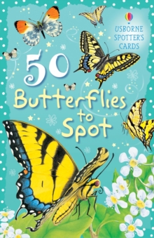 50 Butterflies to Spot, Cards Book 50 Butterflies to Spot, Cards Book