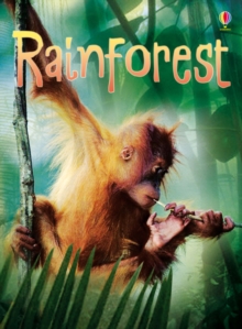 Rainforests, Hardback Book Rainforests, Hardback Book