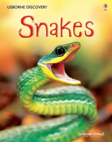 Snakes, Hardback Snakes, Hardback