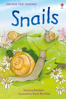 Snails, Hardback Book Snails, Hardback Book