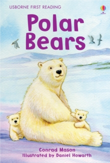 Polar Bears, Hardback Book Polar Bears, Hardback Book
