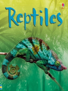 Reptiles, Hardback Book Reptiles, Hardback Book