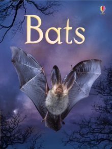 Bats, Hardback Book Bats, Hardback Book