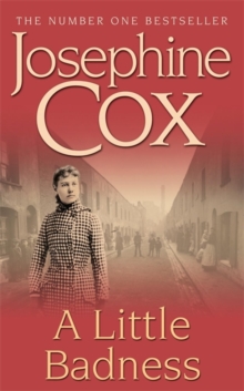 A Little Badness, Paperback A Little Badness, Paperback