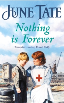 Nothing is Forever, Paperback Book Nothing is Forever, Paperback Book