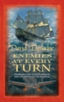 Enemies at Every Turn, Paperback Book Enemies at Every Turn, Paperback Book