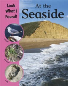 At the Seaside, Paperback Book At the Seaside, Paperback Book